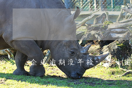 企业逾期没年检-企业逾期未年审罚款多少