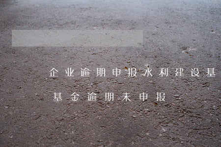 企业逾期申报水利建设基金路径-水利建设基金逾期未申报
