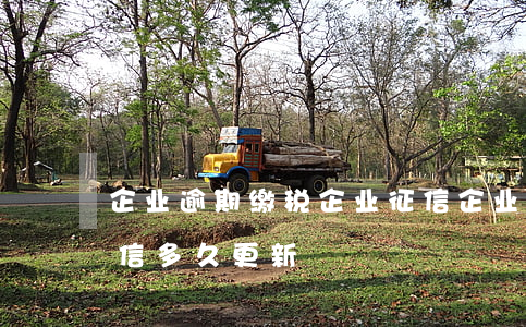 企业逾期缴税企业征信(企业逾期缴税企业征信多久更新)