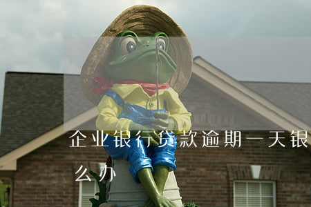 企业银行贷款逾期一天(银行贷款逾期一天怎么办)
