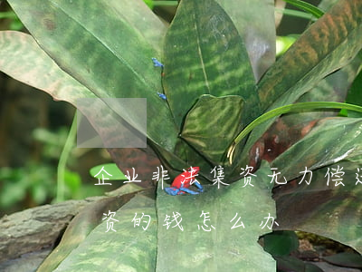 企业非法集资无力偿还(企业非法集资破产,集资的钱怎么办)