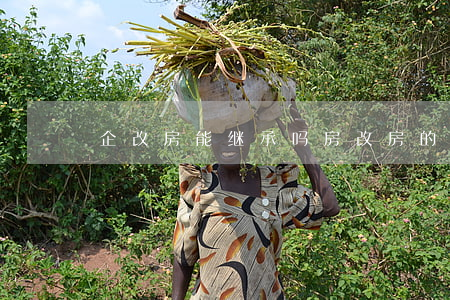 企改房能继承吗(房改房的继承问题)
