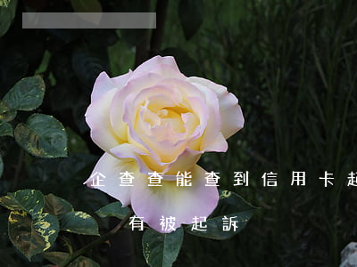 企查查能查到信用卡起訴嗎(怎么查信用卡有沒有被起訴)