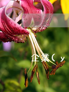 企業(yè)三角債如何解決