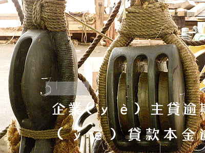 企業(yè)主貸逾期一天就上征信嗎(企業(yè)貸款本金逾期1天會上征信么)