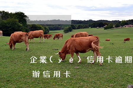 企業(yè)信用卡逾期怎么辦(有逾期如何辦信用卡)