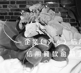 企業(yè)信用卡逾期未還(企業(yè)信用貸款逾期了沒能力償還怎么辦)