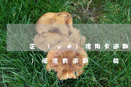 企業(yè)信用卡逾期記錄-企業(yè)征信有逾期記錄能貸款嗎?