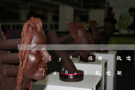 企業(yè)信用貸款逾期處罰(因貸款公司導(dǎo)致逾期)