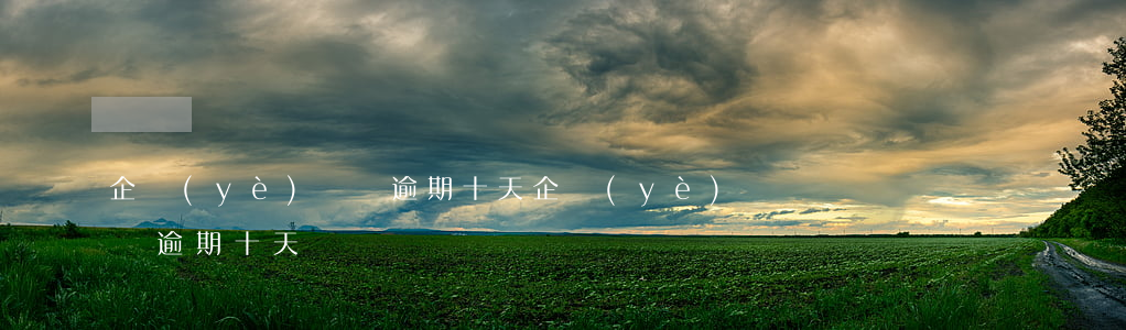 企業(yè)個稅逾期十天(企業(yè)個稅逾期十天)