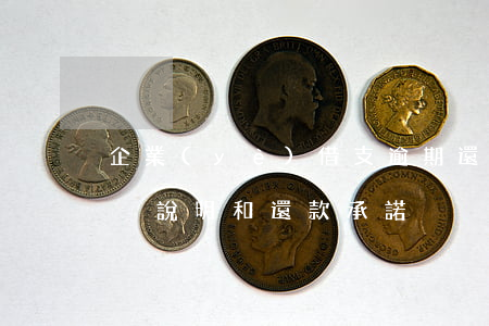 企業(yè)借支逾期還款說明(逾期還款情況說明和還款承諾)