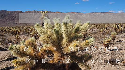 企業(yè)停工通知可以做個(gè)性化分期嗎-企業(yè)停工通知書(shū)范文