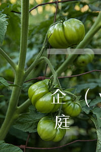 企業(yè)債務(wù)一般不能溯及家庭財產(chǎn)