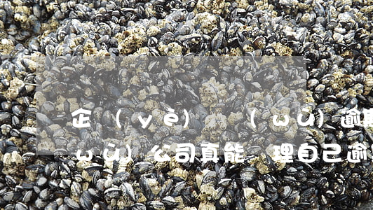企業(yè)債務(wù)逾期后果 債務(wù)公司真能處理自己逾期嗎?