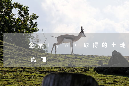 企業(yè)取得的土地出讓金如何攤銷和處理