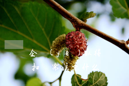 企業(yè)取得運輸發(fā)票進行抵扣時需注意什么