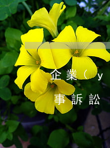 企業(yè)合同糾紛如何起訴(合同糾紛民事訴訟)