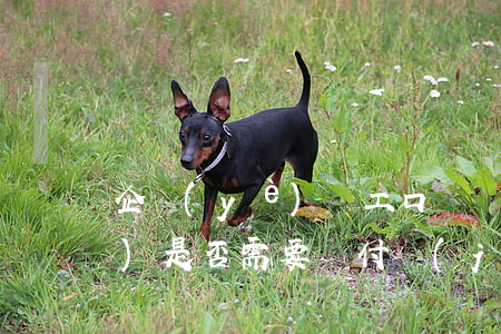 企業(yè)員工口頭辭職反悔，企業(yè)是否需要賠付經(jīng)濟(jì)補(bǔ)償金