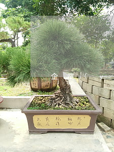企業(yè)在疫情中常見法律問題