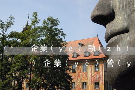 企業(yè)執(zhí)照查詢(xún)(企業(yè)營(yíng)業(yè)執(zhí)照查詢(xún))