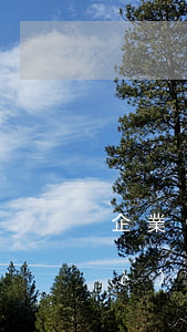 企業(yè)執(zhí)照注冊(企業(yè)執(zhí)照注冊資金多少有什么關系)