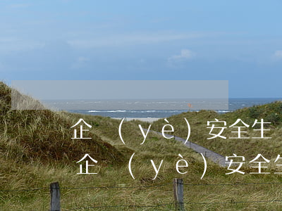 企業(yè)安全生產(chǎn)許可證(企業(yè)安全生產(chǎn)許可證查詢官網(wǎng))