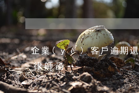 企業(yè)客戶逾期還款律師函(公司催款律師函)