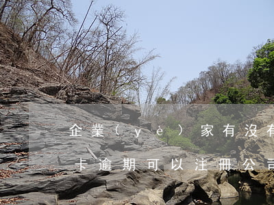 企業(yè)家有沒有信用卡逾期的(有信用卡逾期可以注冊公司嗎)