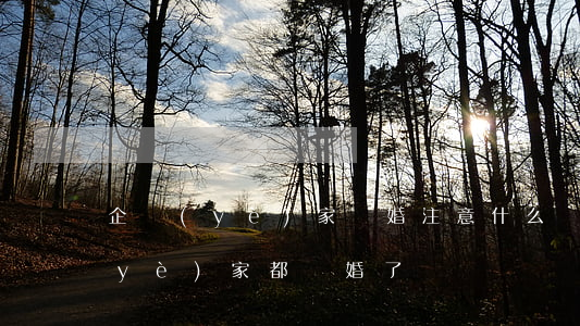 企業(yè)家離婚注意什么(為什么企業(yè)家都離婚了)