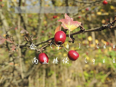 企業(yè)對(duì)工傷賠償后能否向直接侵權(quán)人追償