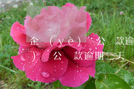 企業(yè)對公貸款逾期三天(企業(yè)對公貸款逾期三天)