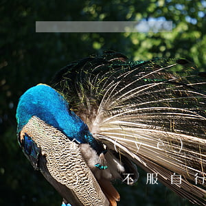 企業(yè)對質(zhì)檢結(jié)論不服自行復(fù)檢是否合法