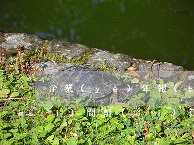 企業(yè)年報(bào)逾期時(shí)間計(jì)算