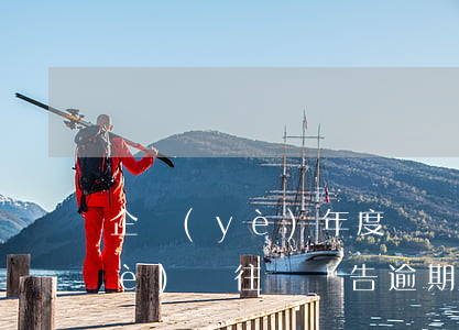 企業(yè)年度關聯(lián)業(yè)務往來報告逾期-企業(yè)年度關聯(lián)業(yè)務往來報告逾期怎么辦