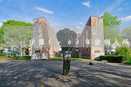 企業(yè)年金個人所得稅最新政策是什么呢