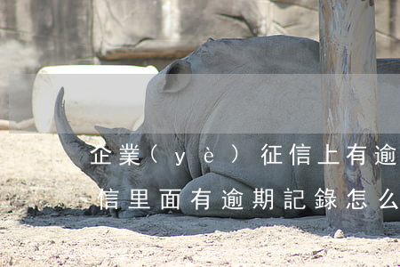 企業(yè)征信上有逾期記錄怎么辦-征信里面有逾期記錄怎么辦