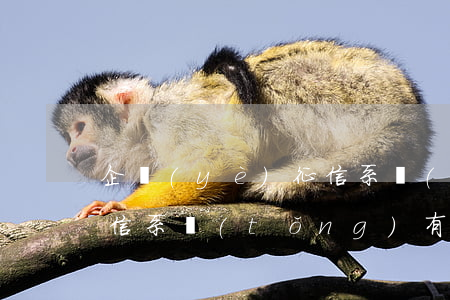 企業(yè)征信系統(tǒng)逾期 征信系統(tǒng)有逾期