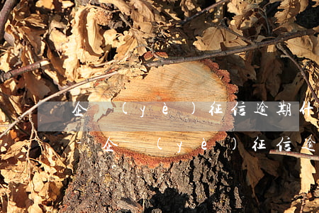 企業(yè)征信逾期什么時間可以沒有了-企業(yè)征信逾期什么時間可以沒有了記錄