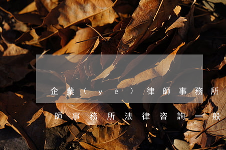 企業(yè)律師事務所一般是怎么收費(律師事務所法律咨詢一般怎么收費嗎)