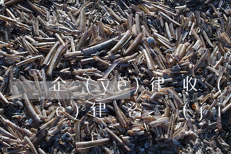 企業(yè)律師收費(fèi)(企業(yè)律師咨詢價(jià)格)