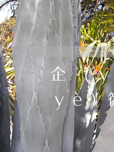 企業(yè)微信逾期未認證(未驗證企業(yè)微信)
