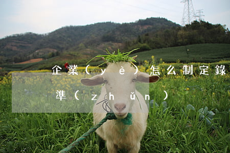 企業(yè)怎么制定錄用標(biāo)準(zhǔn)