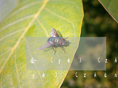 企業(yè)戰(zhàn)略合作(企業(yè)戰(zhàn)略合作伙伴)