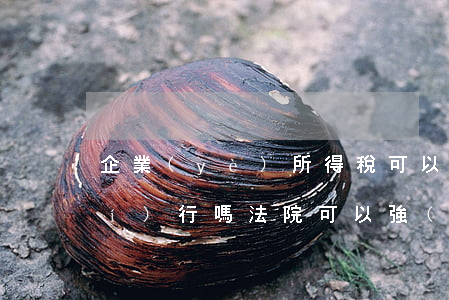 企業(yè)所得稅可以申清法院執(zhí)行嗎(法院可以強(qiáng)制執(zhí)行稅款嗎)