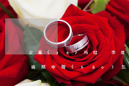 企業(yè)所得稅季度申報(bào)表逾期申報(bào)怎么罰款（所得稅申報(bào)季報(bào)逾期）