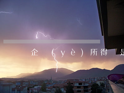 企業(yè)所得稅是多少