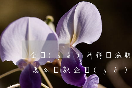 企業(yè)所得稅逾期未申報(bào)怎么罰款(企業(yè)所得稅逾期未繳納)
