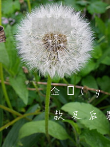 企業(yè)所得稅逾期申報(bào)罰款及后果-企業(yè)所得稅逾期申報(bào)罰款及后果是什么