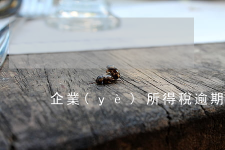 企業(yè)所得稅逾期罰款怎么做分錄-