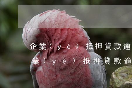 企業(yè)抵押貸款逾期了股東怎么辦(企業(yè)抵押貸款逾期多久會被起訴)
